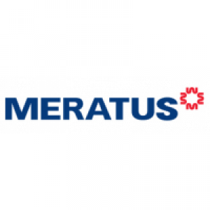 logo-meratus-line-3