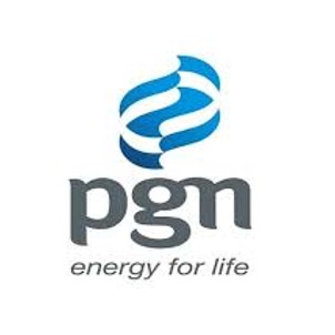 logo perusahaan gas negara pgn 2